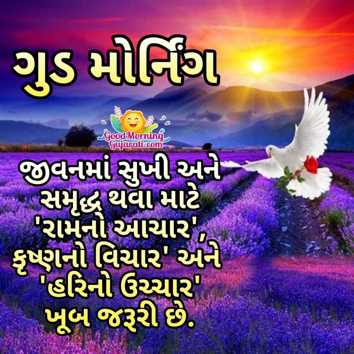 Good Morning Quotes In Gujarati - Good Morning Wishes & Images in ...