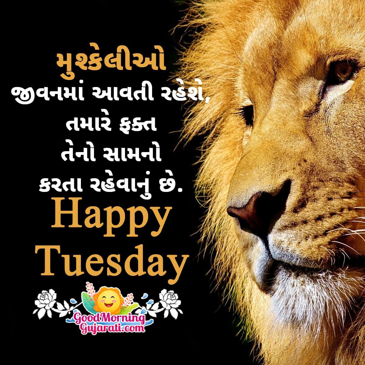 Happy Tuesday Whatsapp Message In Gujarati